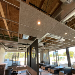 Ceilings & Acoustical Solutions